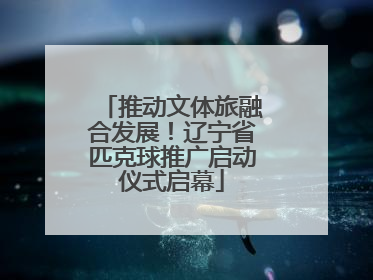 推动文体旅融合发展！辽宁省匹克球推广启动仪式启幕