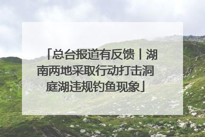 总台报道有反馈丨湖南两地采取行动打击洞庭湖违规钓鱼现象