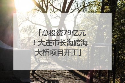 总投资79亿元！大连市长海跨海大桥项目开工