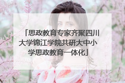 思政教育专家齐聚四川大学锦江学院共研大中小学思政教育一体化