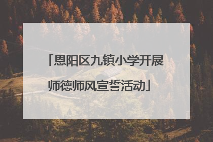 恩阳区九镇小学开展师德师风宣誓活动