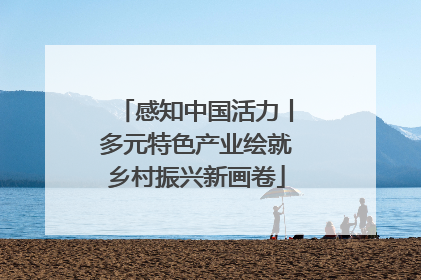 感知中国活力丨多元特色产业绘就乡村振兴新画卷
