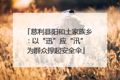 慈利县阳和土家族乡：以“迅”应“汛” 为群众撑起安全伞