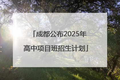 成都公布2025年高中项目班招生计划
