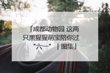成都动物园 这两只黑猩猩萌宝陪你过“六一”｜图集
