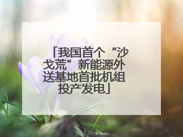 我国首个“沙戈荒”新能源外送基地首批机组投产发电