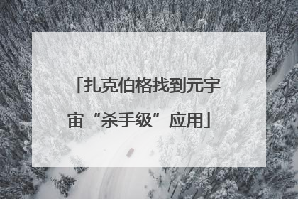 扎克伯格找到元宇宙“杀手级”应用