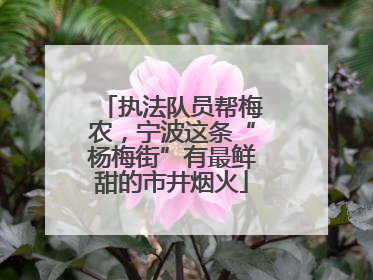 执法队员帮梅农，宁波这条“杨梅街”有最鲜甜的市井烟火