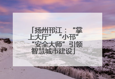扬州邗江：“掌上大厅”“小邗”“安全大师”引领智慧城市建设