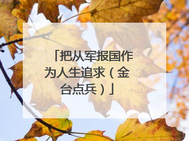 把从军报国作为人生追求（金台点兵）