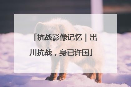 抗战影像记忆｜出川抗战，身已许国