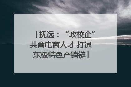 抚远：“政校企”共育电商人才 打通东极特色产销链