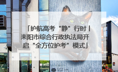 护航高考“静”行时丨耒阳市综合行政执法局开启“全方位护考”模式