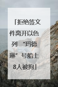 拒绝签文件离开以色列 “玛德琳”号船上8人被拘