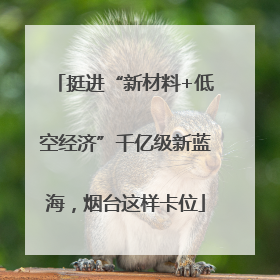 挺进“新材料+低空经济”千亿级新蓝海，烟台这样卡位