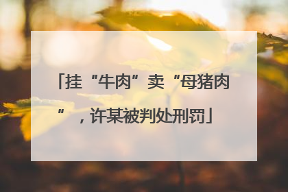 挂“牛肉”卖“母猪肉”，许某被判处刑罚