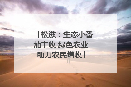 松滋：生态小番茄丰收 绿色农业助力农民增收