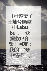 杜淳妻子王灿兮晒整柜Labubu，一众爆款IP齐聚！网友：我的 “梦中情柜”