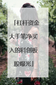 杠杆资金大手笔净买入的科创板股曝光