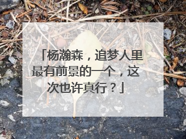 杨瀚森，追梦人里最有前景的一个，这次也许真行？