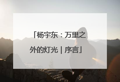 杨宇东：万里之外的灯光｜序言
