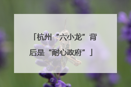 杭州“六小龙”背后是“耐心政府”