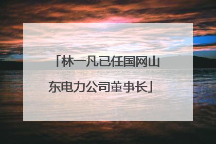 林一凡已任国网山东电力公司董事长
