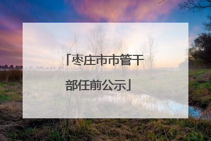 枣庄市市管干部任前公示