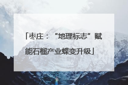 枣庄：“地理标志”赋能石榴产业蝶变升级