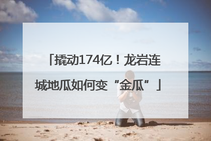 撬动174亿！龙岩连城地瓜如何变“金瓜”