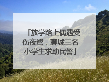 放学路上偶遇受伤夜鹭，聊城三名小学生求助民警
