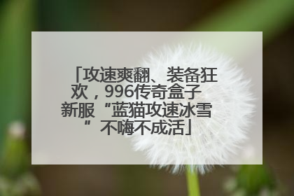 攻速爽翻、装备狂欢，996传奇盒子新服“蓝猫攻速冰雪”不嗨不成活