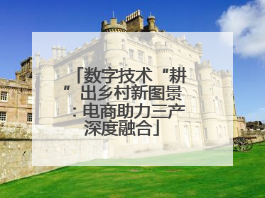 数字技术“耕”出乡村新图景：电商助力三产深度融合