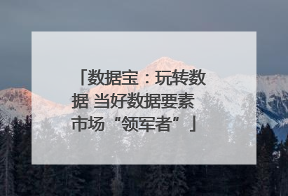 数据宝：玩转数据 当好数据要素市场“领军者”