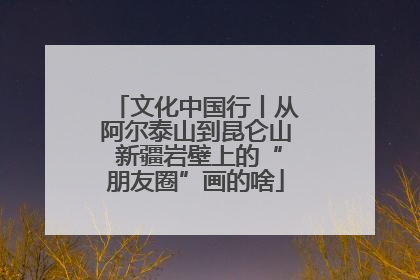 文化中国行丨从阿尔泰山到昆仑山 新疆岩壁上的“朋友圈”画的啥