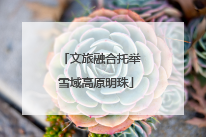 文旅融合托举雪域高原明珠