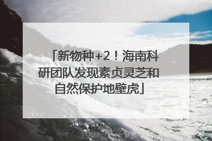 新物种+2！海南科研团队发现素贞灵芝和自然保护地壁虎