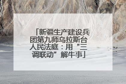 新疆生产建设兵团第九师乌拉斯台人民法庭：用“三调联动”解牛事