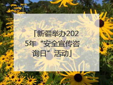 新疆举办2025年“安全宣传咨询日”活动