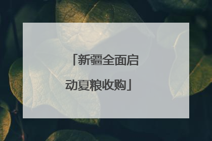 新疆全面启动夏粮收购