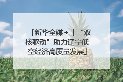 新华全媒＋丨“双核驱动”助力辽宁低空经济高质量发展