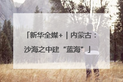 新华全媒+｜内蒙古：沙海之中建“蓝海”