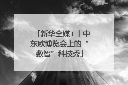 新华全媒+丨中东欧博览会上的“数智”科技秀