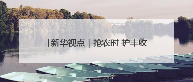 新华视点｜抢农时 护丰收 多维度保障“三夏”生产