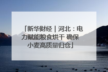 新华财经｜河北：电力赋能粮食烘干 确保小麦高质量归仓