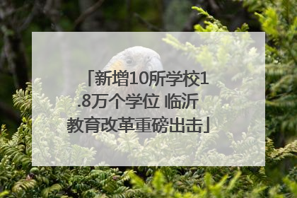 新增10所学校1.8万个学位 临沂教育改革重磅出击