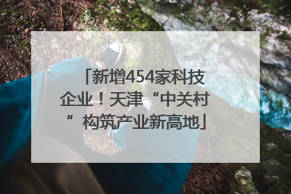 新增454家科技企业！天津“中关村”构筑产业新高地