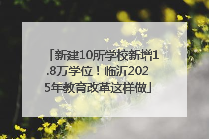 新建10所学校新增1.8万学位！临沂2025年教育改革这样做