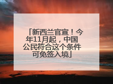 新西兰官宣！今年11月起，中国公民符合这个条件可免签入境