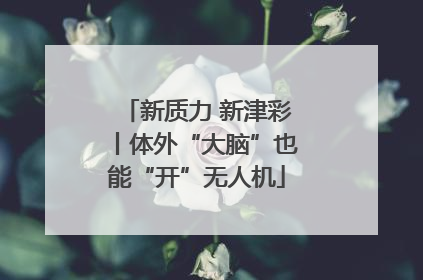 新质力 新津彩丨体外“大脑”也能“开”无人机